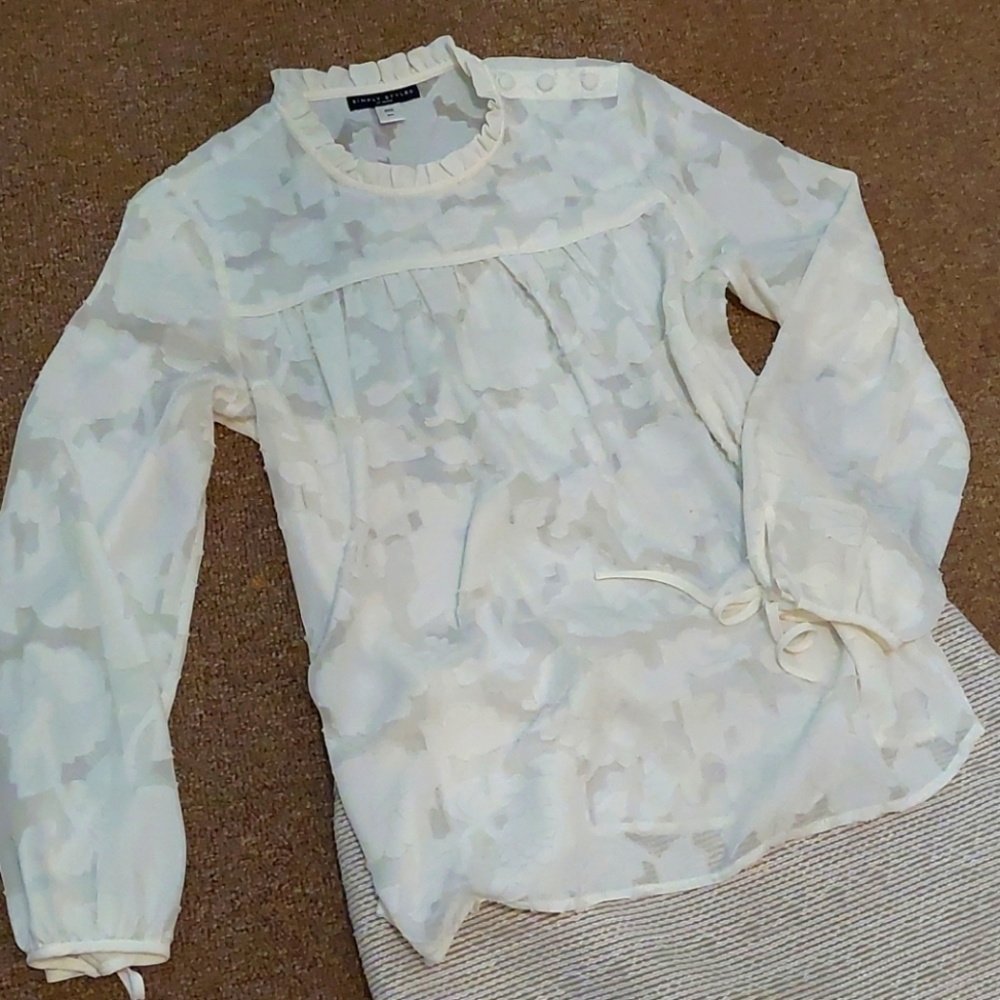 Euc sheer blouse